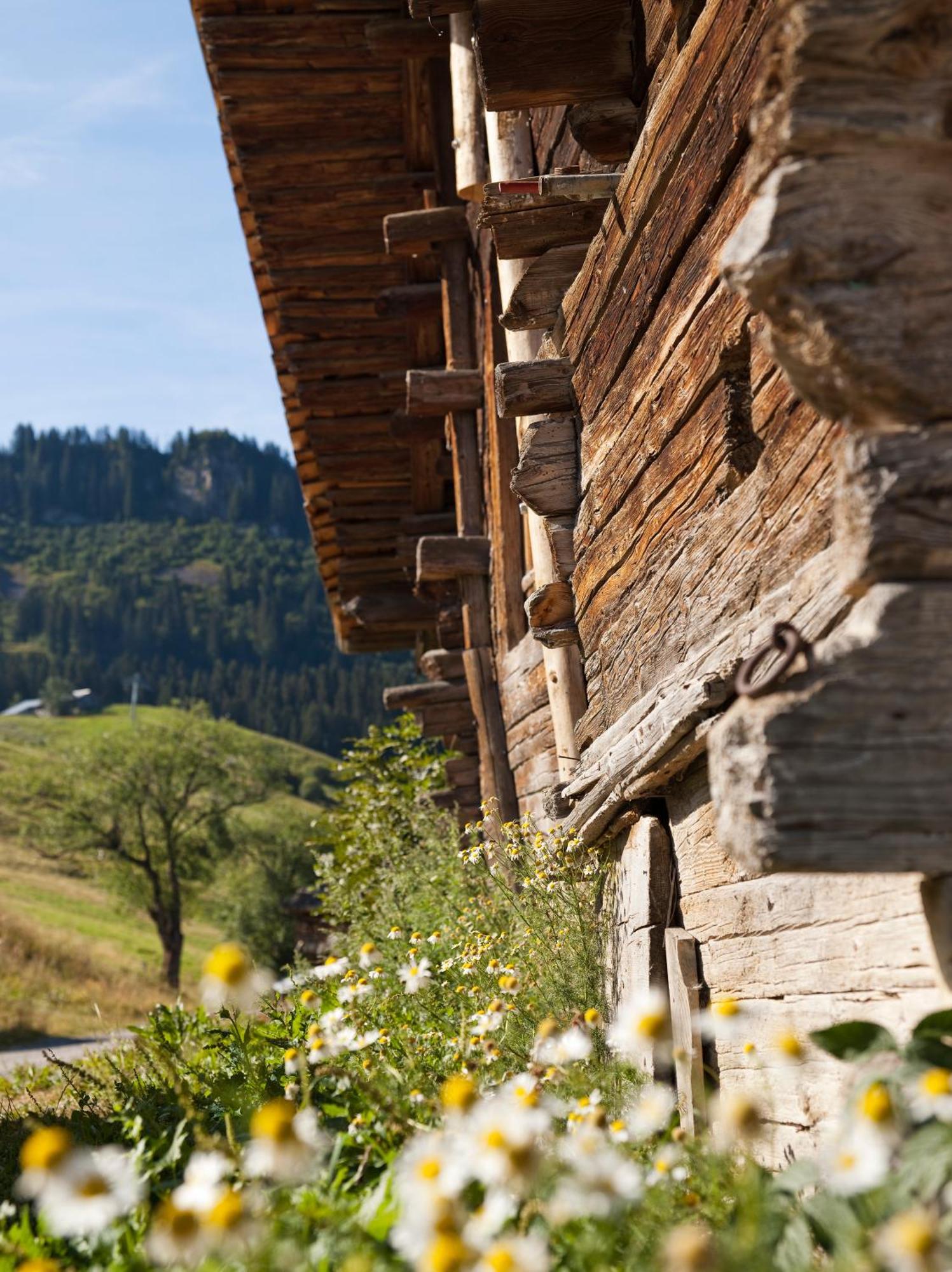 Mgm Hotels & Residences - Residence Le Roc Des Tours Le Grand-Bornand Eksteriør billede